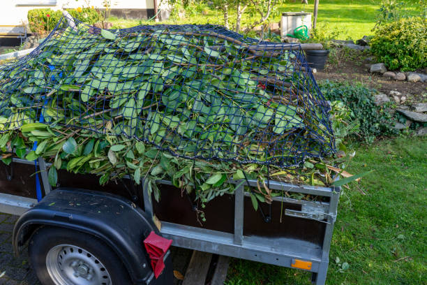 Best Furniture Removal  in Rice, MN